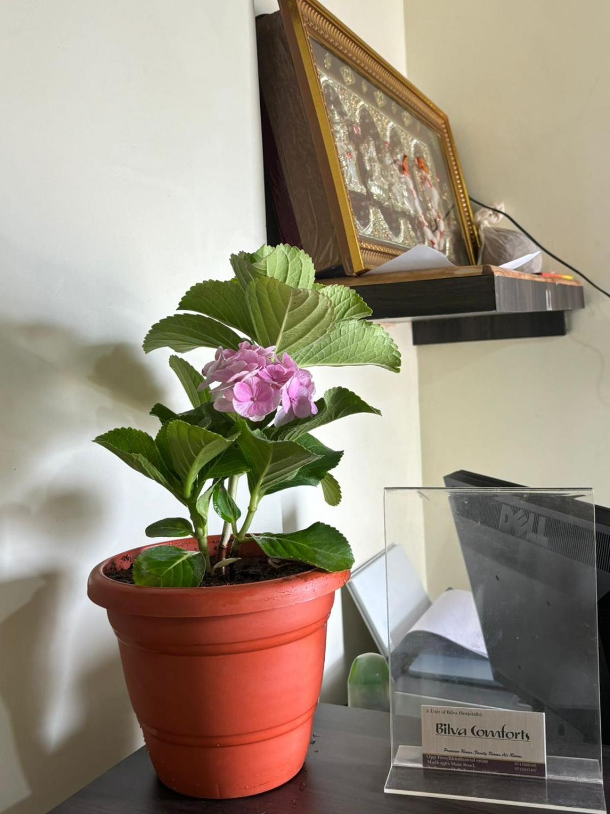 Bilva Comforts Tumkur 外观 照片